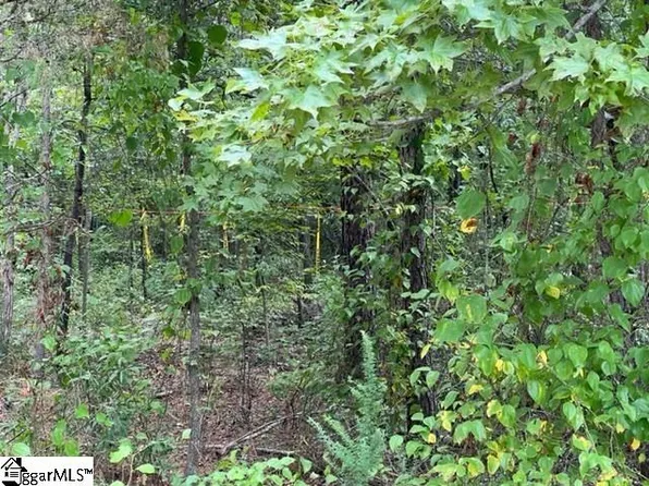 152B Chandler Rd, Pelzer, SC 29669