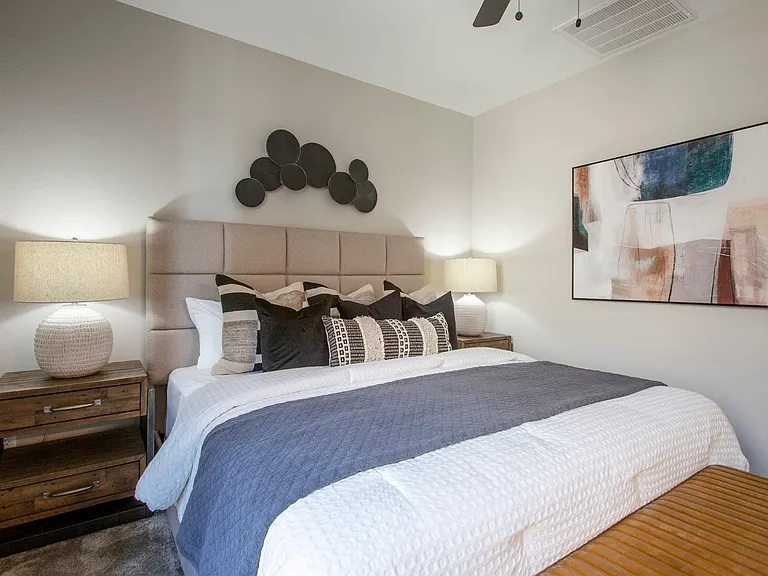 Viceroy Luxury Townhomes - New Construction — Photo 11