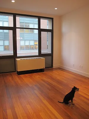 Rented by Aidonis Realty | media 10