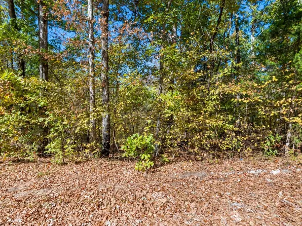 0 Richardson Dr Lot 2, Linden, TN 37096