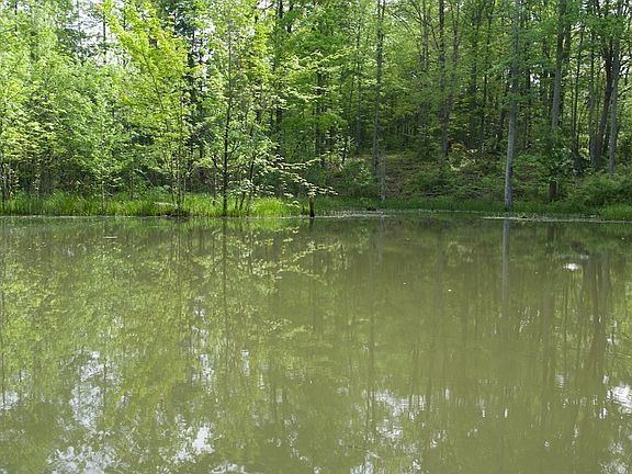 3rd image of Barker Cove Loop Lot Wp001
