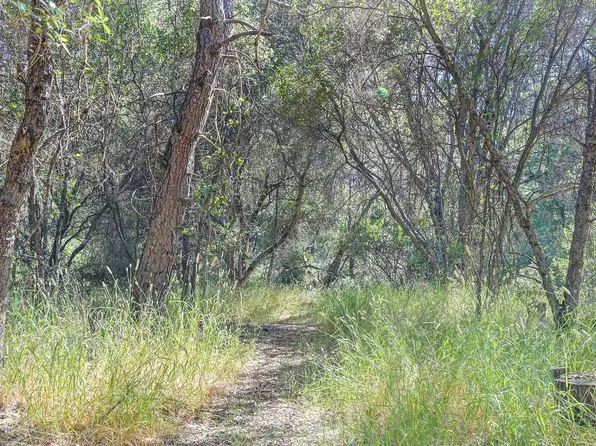 Conifer Ln, Auburn, CA 95602