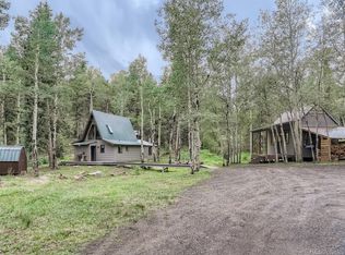 479 Deer Rd, Evergreen, CO 80439
