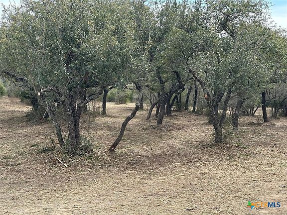 4th image of 344 Bosque Rdg