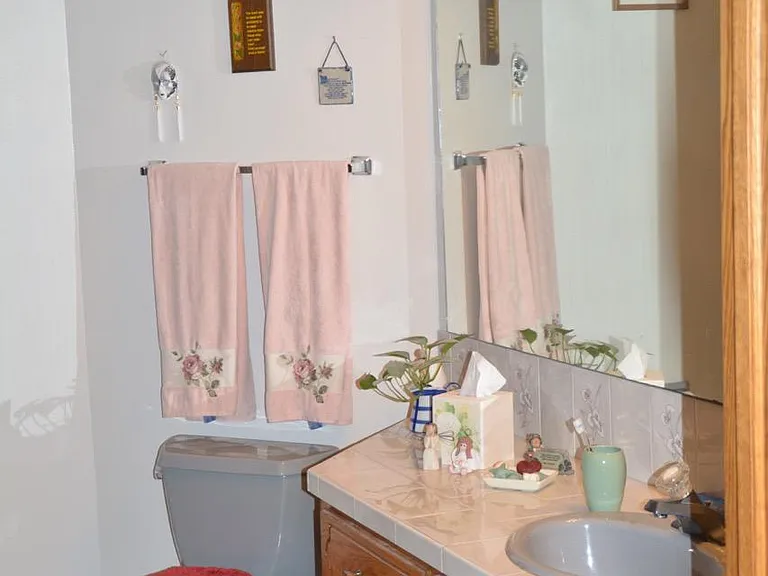 Master bathroom (partial view)