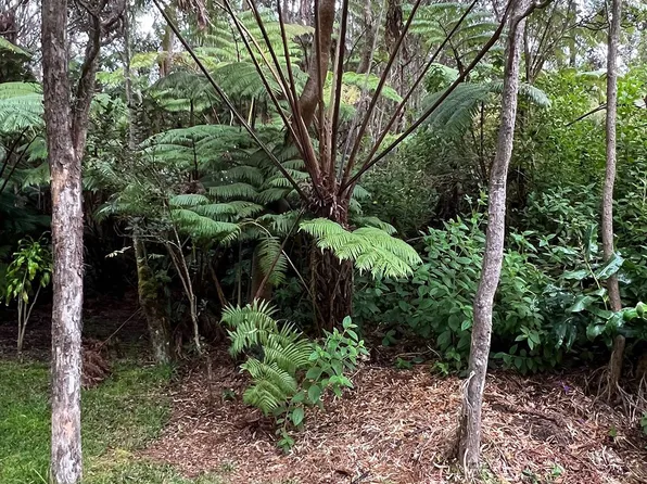Kekoanui St Lot 80, Volcano, HI 96785