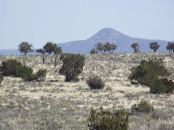 6366 S Smoketree Rd, Williams, AZ 86046