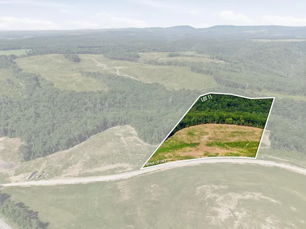 0 Triple Ridge Trl Lot 11, Grandview, TN 37337