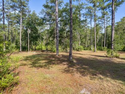 3155 SW Oregon Trl, Greenville, FL, 32331
