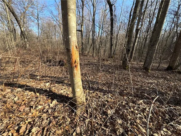 0 50th Avenue, Osceola, WI 5401