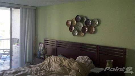 2010-10-10_14-36-14_631