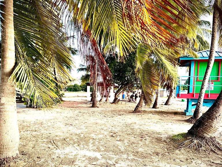 D0 Calle De La Ter — Photo 30