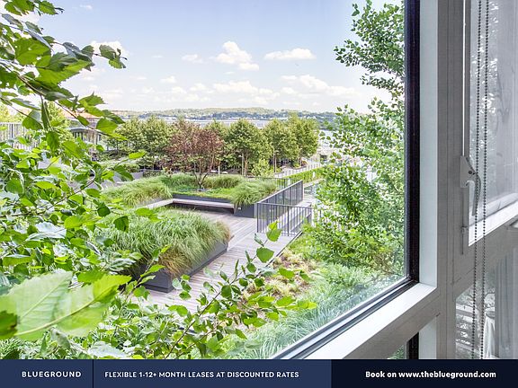Window View
