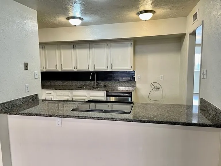 4020 Blue Flag Ln — Photo 10