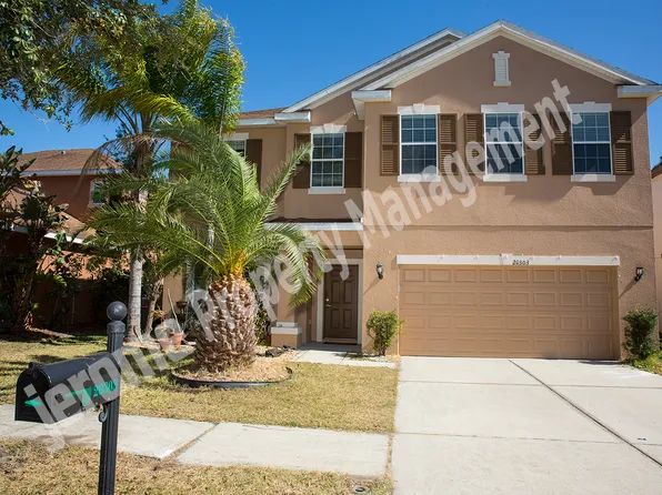 20303 Autumn Fern Ave, Tampa, FL 33647