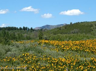 34 Id, Wayan, ID 83285