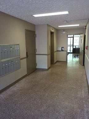 5th image of 5 Bassett St APT A2
