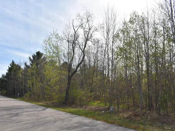 738 White Pine Dr, Brutus, MI 49716
