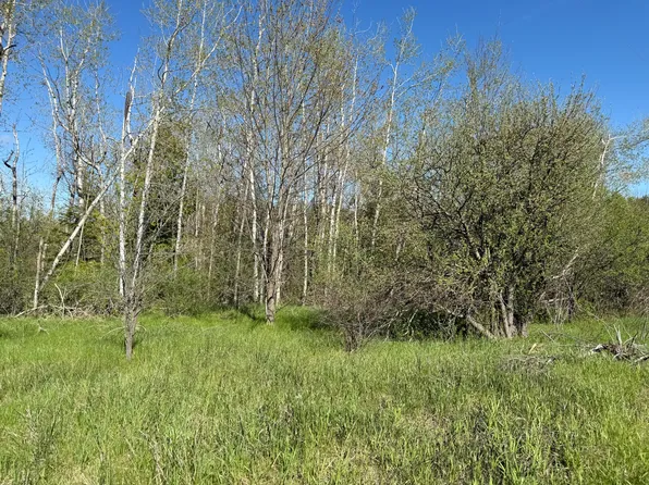 6330 S River Rd, Cheboygan, MI 49721