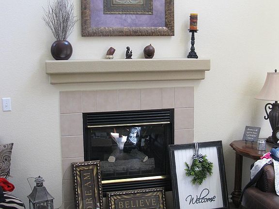 Gas Fireplace in the Family Room