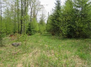 Tbd Section 16 Rd, Covington, MI 49919