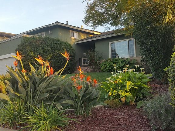 3rd image of 5657 Comanche Dr