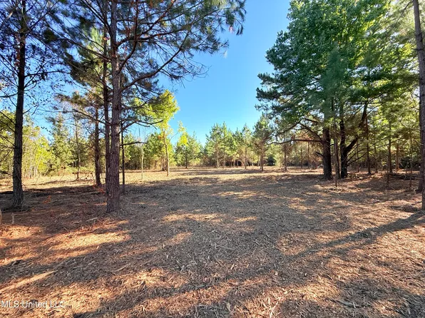Windfall Trl Lot 61, Madison, MS 39110
