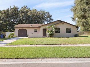 2039 Ronald Cir, Seffner, FL 33584
