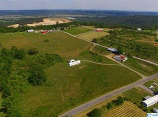 1633 Feemster Gap Rd, Guntersville, AL 35976