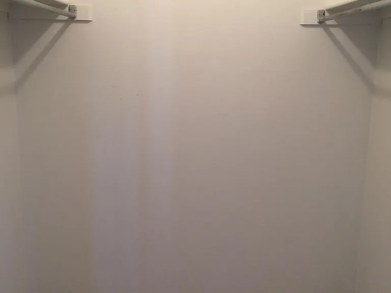 Master closet walk in