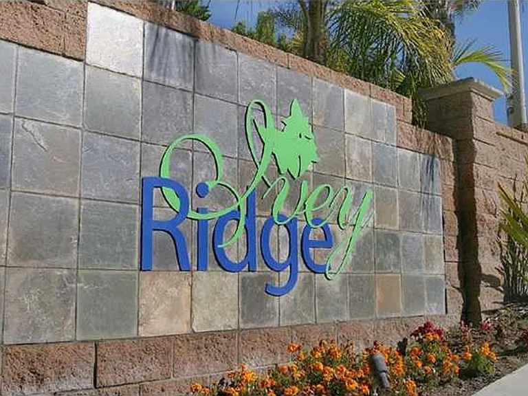 4077 Ivey Vista Way — Photo 2