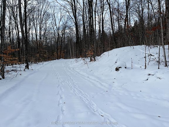 5th image of 1 Siberia Rd