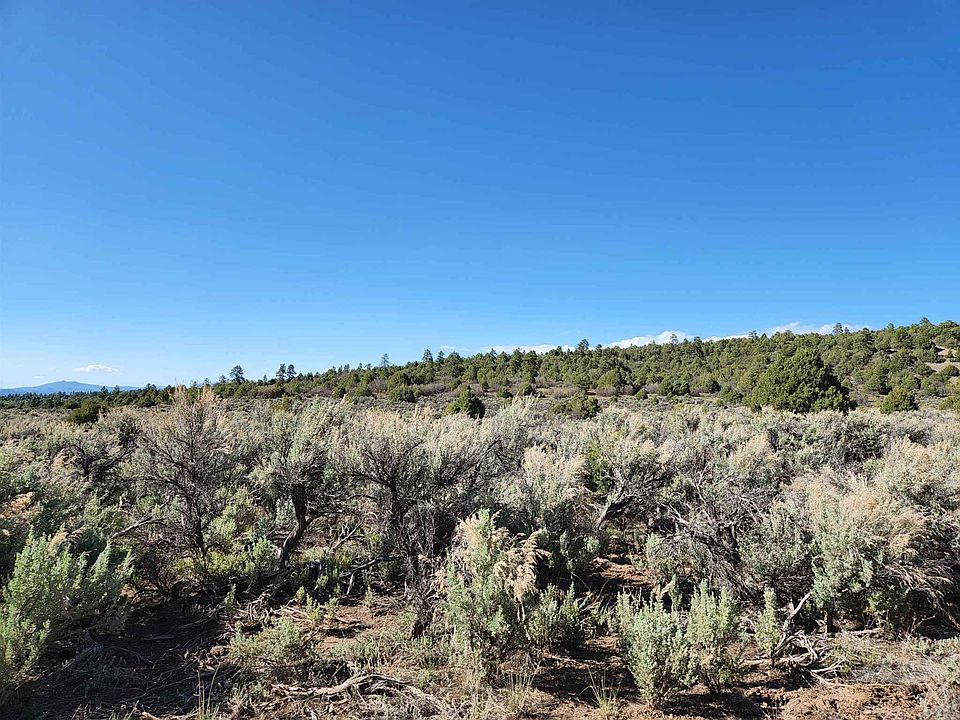 U1 L B10 Chama Riv 19, Tierra Amarilla, NM 87575 Zillow