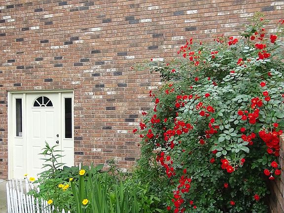 lower side entry and flower garden