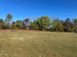 113 Briarpatch Ct, Fall Branch, TN 37656