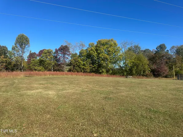 113 Briarpatch Ct, Fall Branch, TN 37656