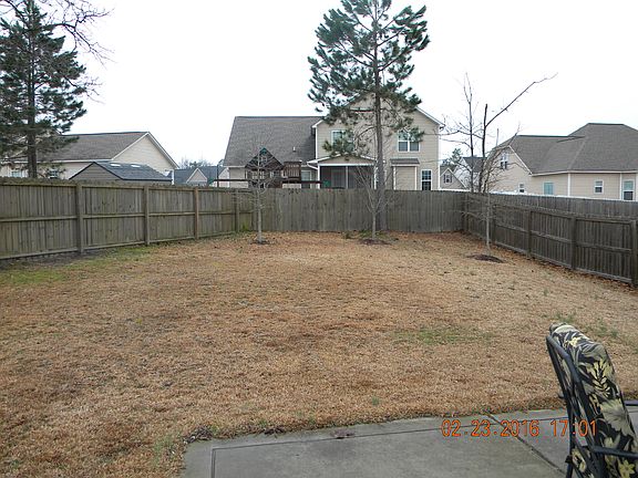 Back yard