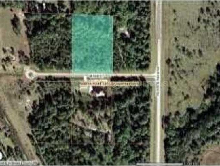 1st image of Nestor Ct