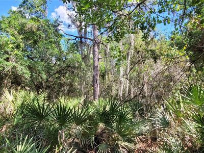 Marina Pkwy N, Lake wales, FL, 33898