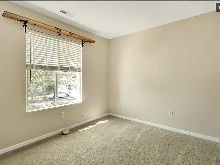 548 Scotch Pine Dr — Photo 19