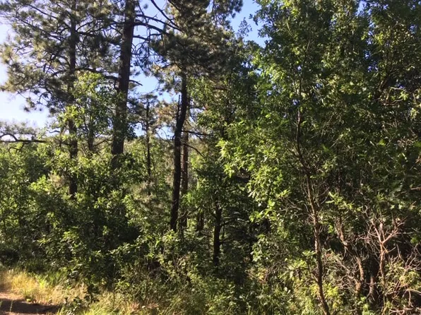 200 County Road A042, Mora, NM 87732