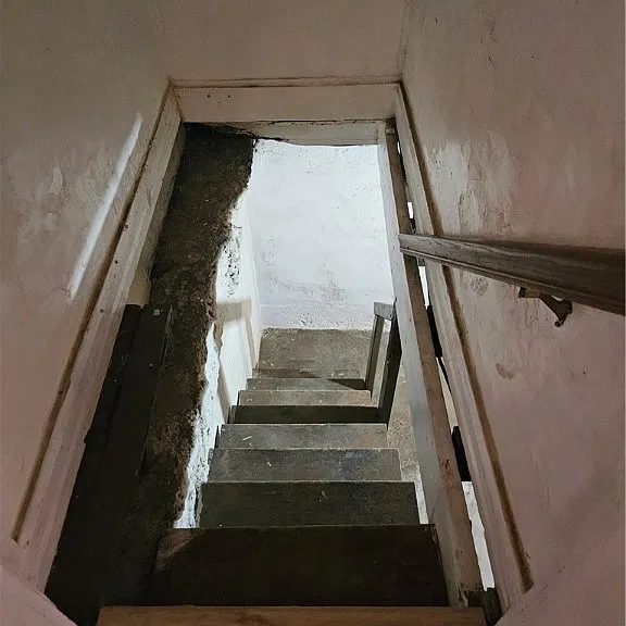 2212 Cronemeyer St — Photo 48