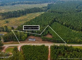 401 Capps Farm Rd, Hollister, NC 27844