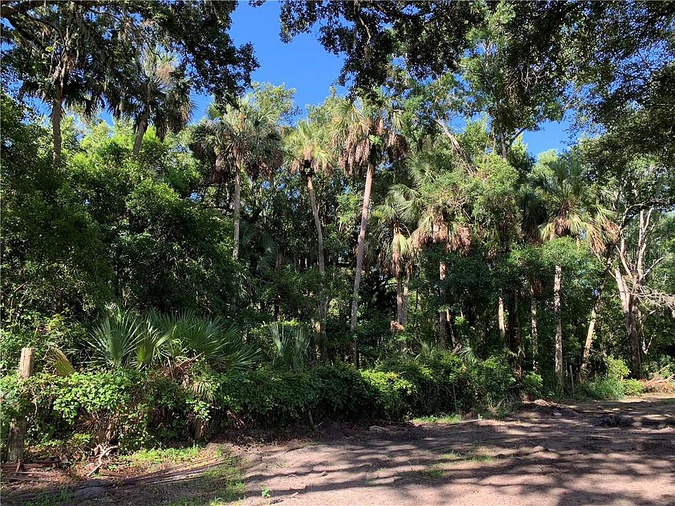 1st image of Palm St