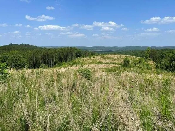0 County Rd, Athens, TN 37303