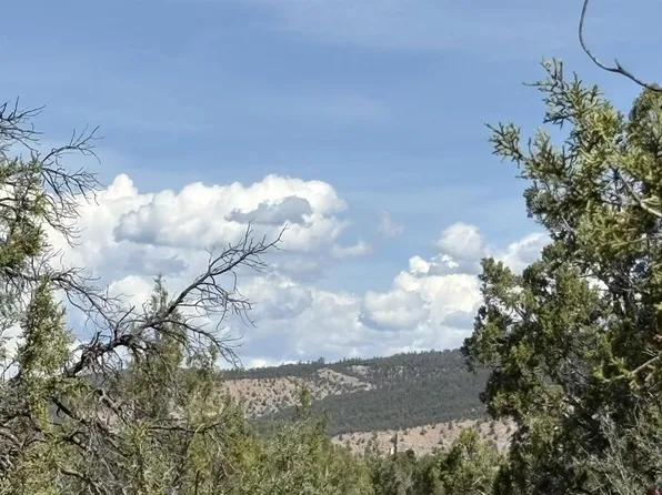 150 Deer Park, Arboles, CO 81121
