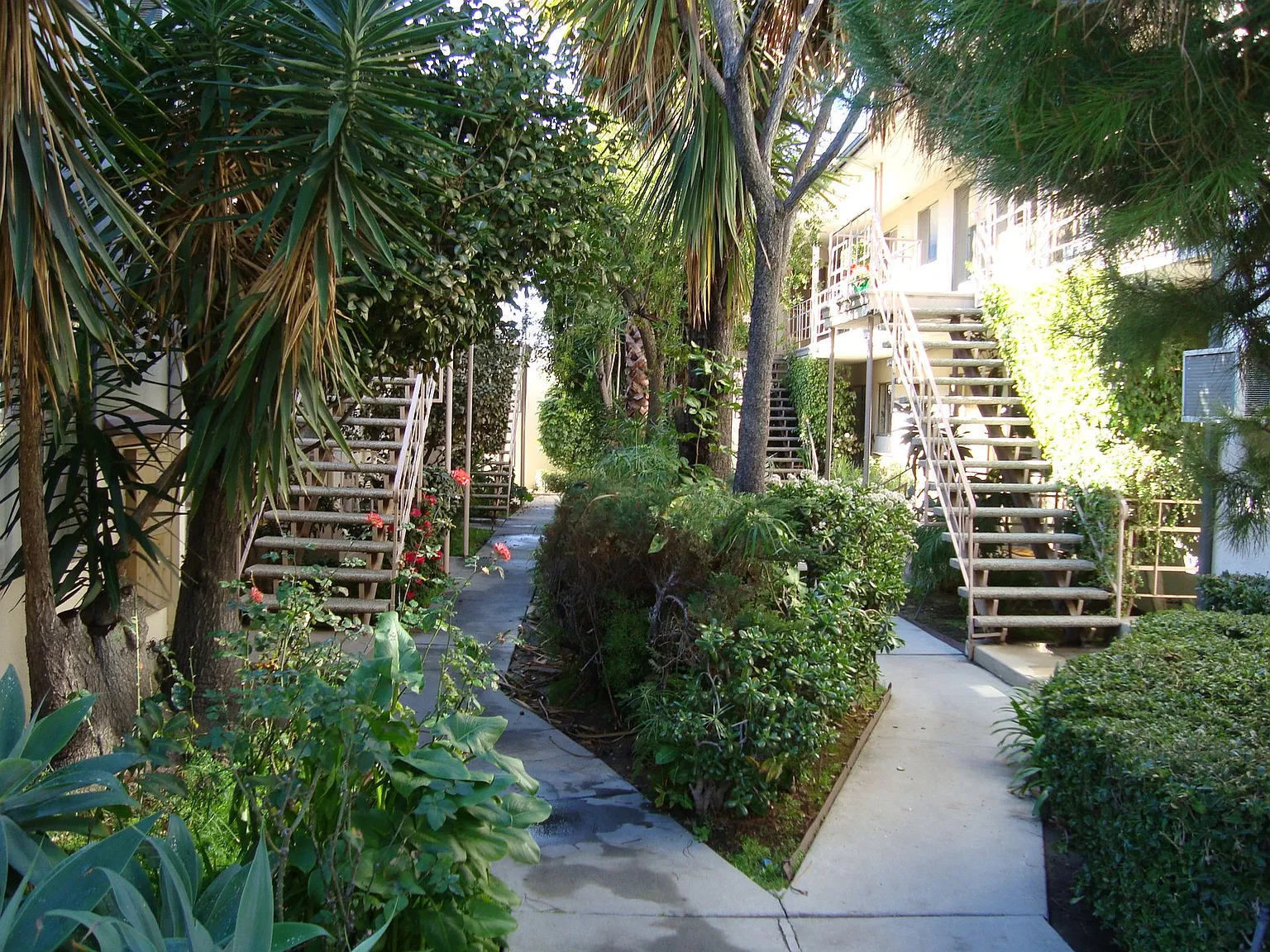 mel102 — Photo 4