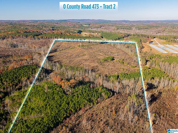2nd image of 0 County Road 473 #1