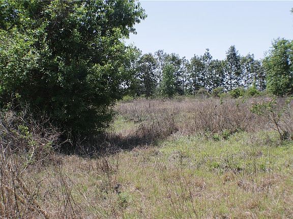 5th image of 0 W Lake Wales Rd N