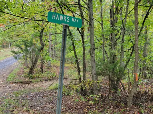 Hawks Way, Delray, WV 26714